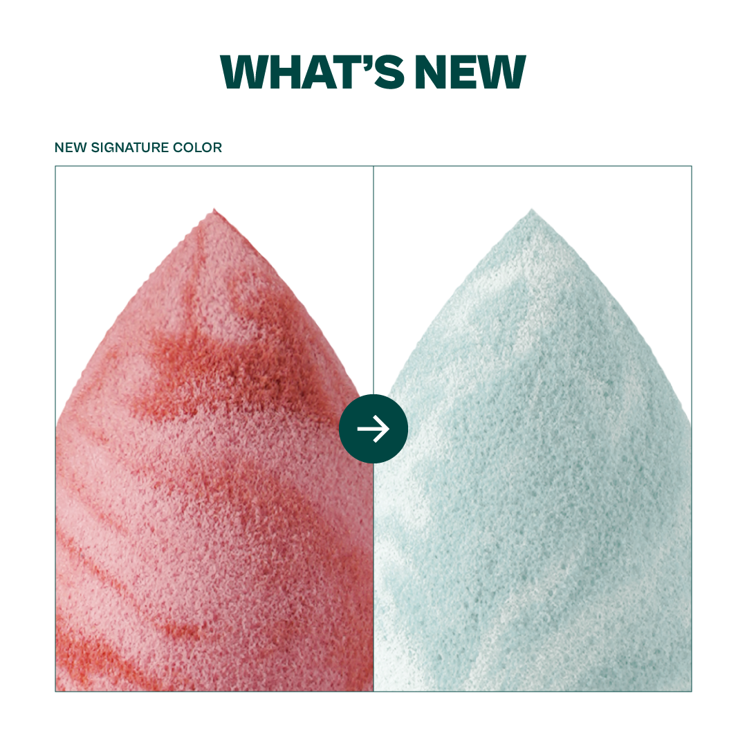 Haquhara Pebble Pro-Blending Essential / Makeup Sponge / Beauty Blender
